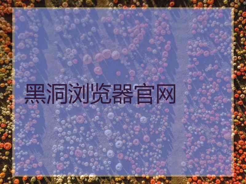 黑洞浏览器官网