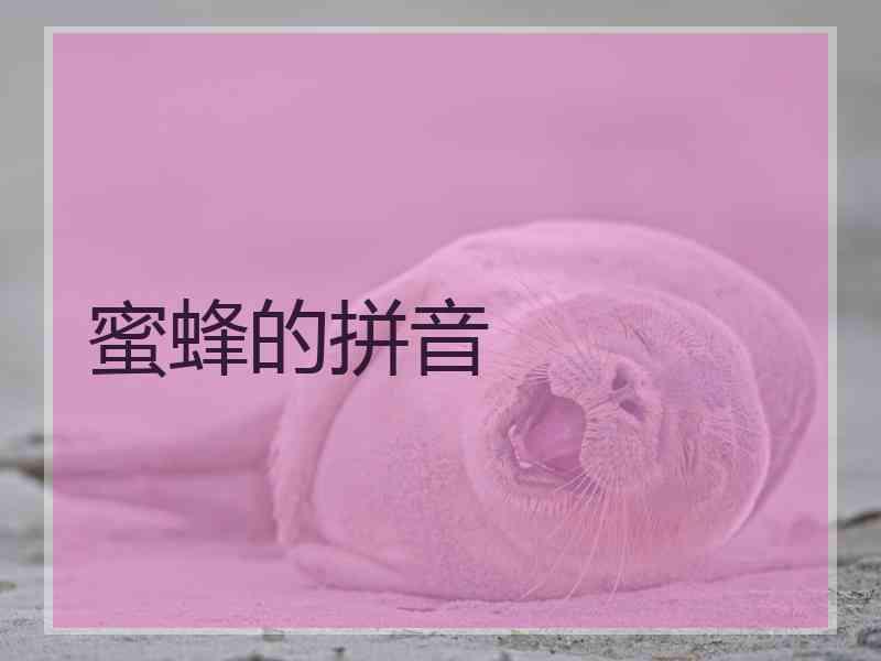 蜜蜂的拼音