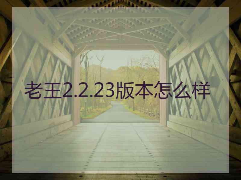 老王2.2.23版本怎么样