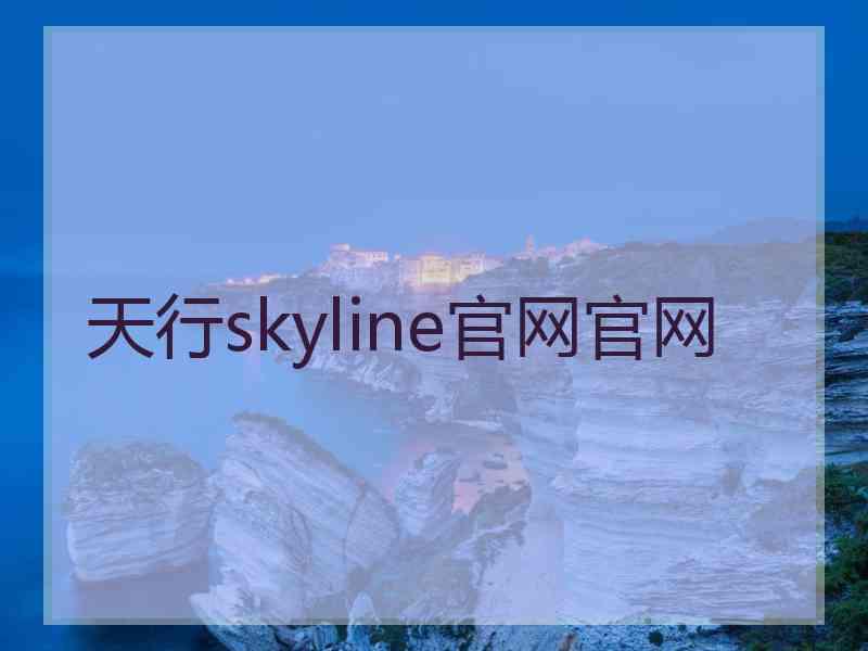 天行skyline官网官网