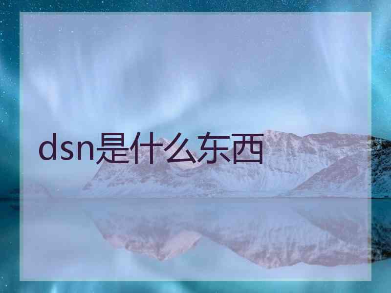 dsn是什么东西