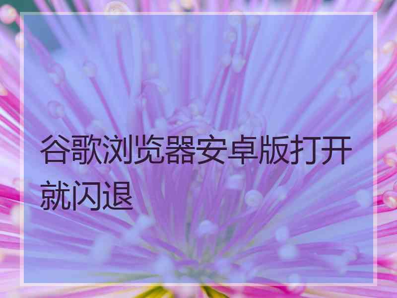 谷歌浏览器安卓版打开就闪退