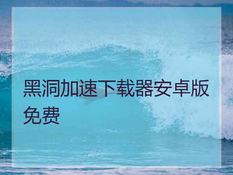 黑洞加速下载器安卓版免费