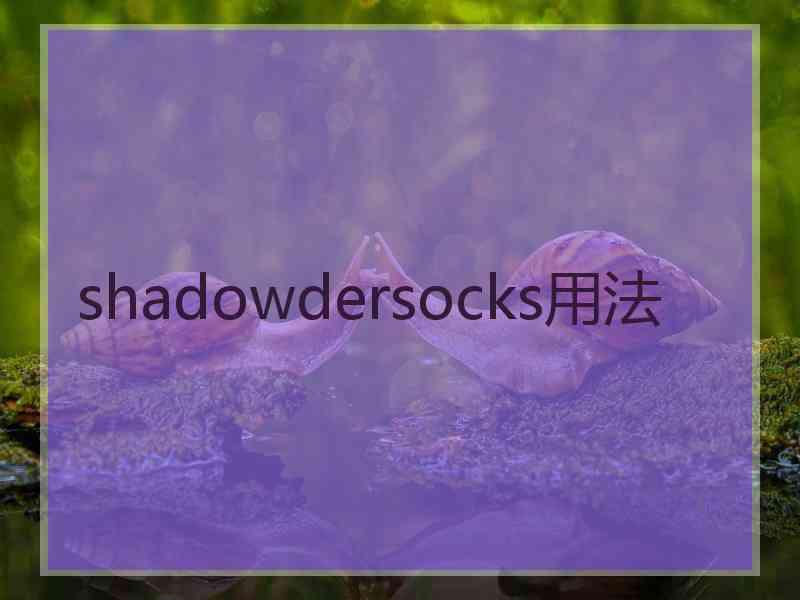 shadowdersocks用法