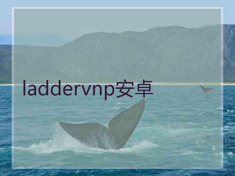 laddervnp安卓