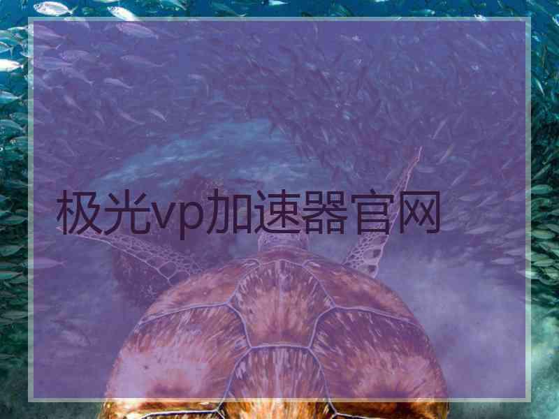 极光vp加速器官网