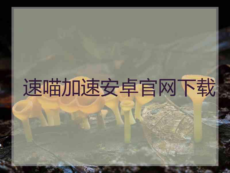 速喵加速安卓官网下载