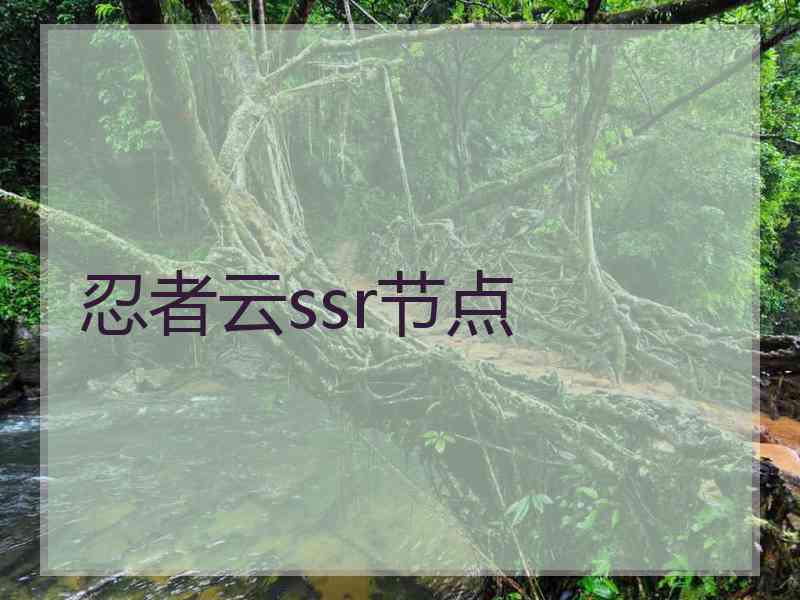 忍者云ssr节点