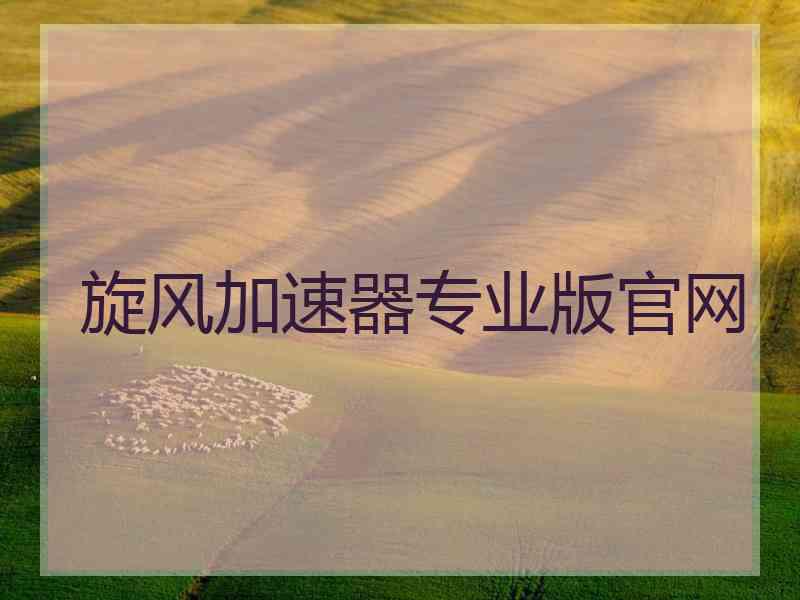 旋风加速器专业版官网