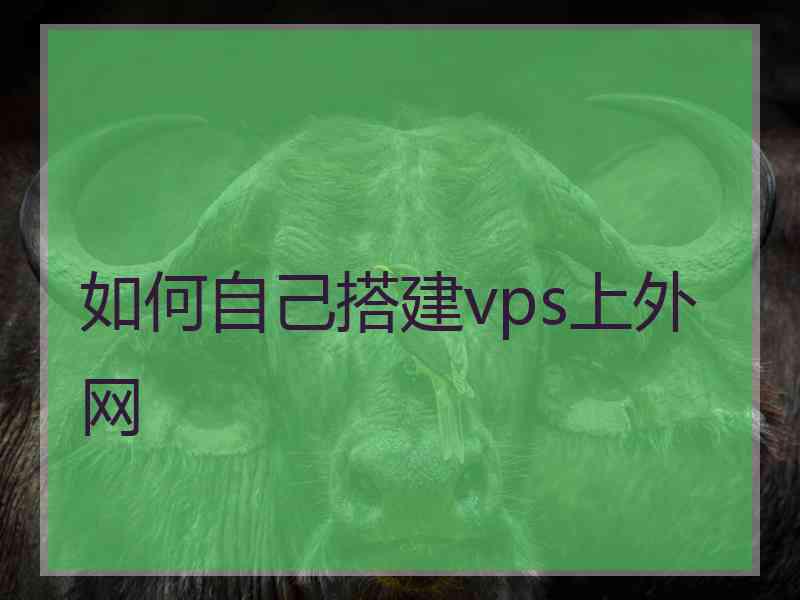 如何自己搭建vps上外网