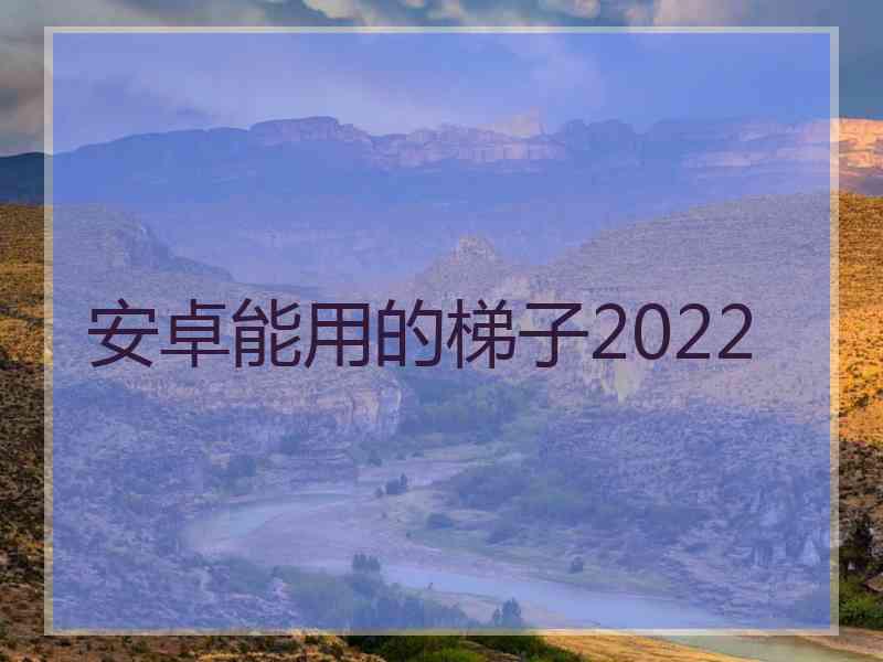 安卓能用的梯子2022