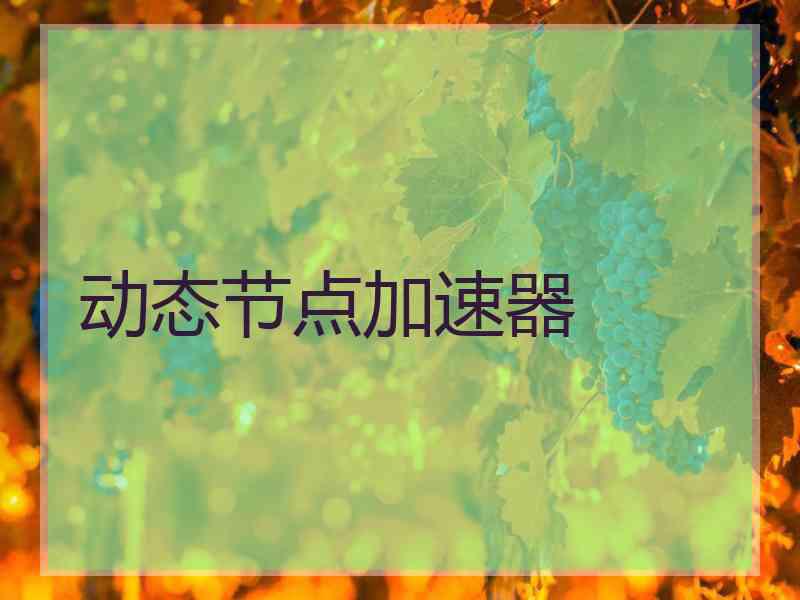 动态节点加速器