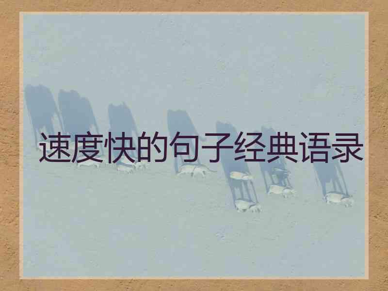 速度快的句子经典语录
