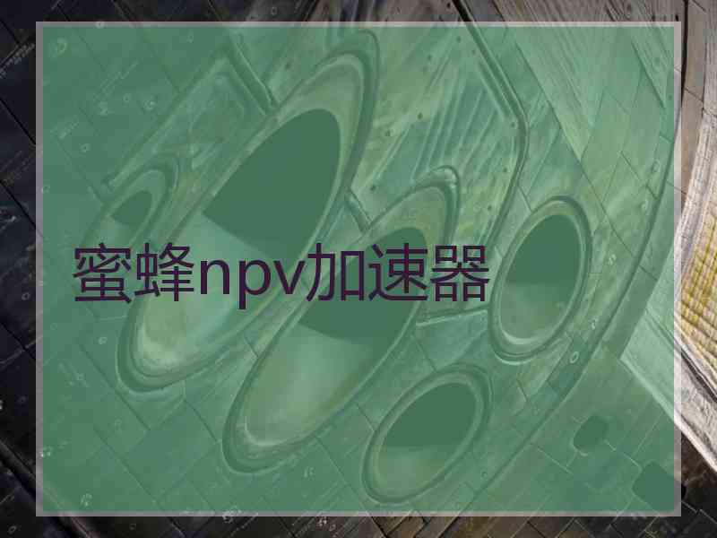 蜜蜂npv加速器