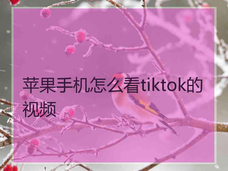 苹果手机怎么看tiktok的视频