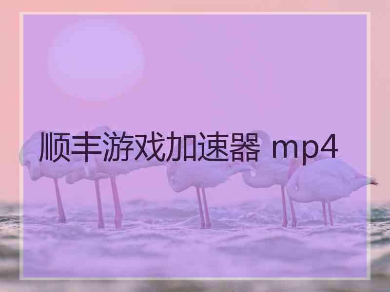 顺丰游戏加速器 mp4
