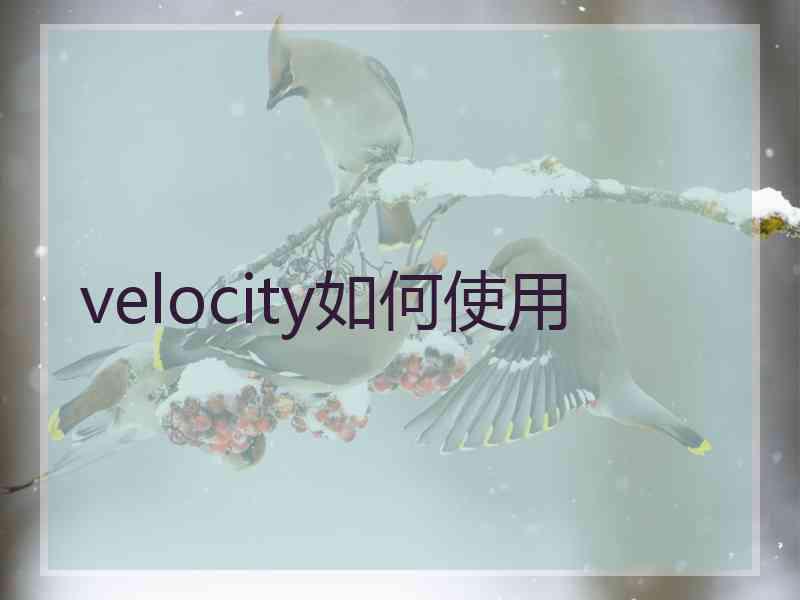 velocity如何使用
