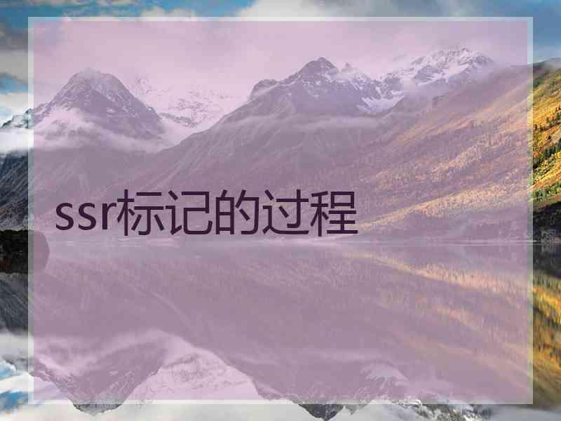ssr标记的过程