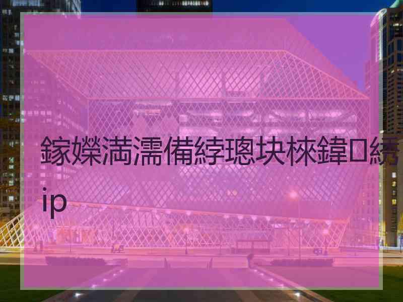 鎵嬫満濡備綍璁块棶鍏綉ip