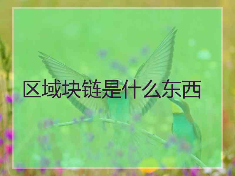 区域块链是什么东西
