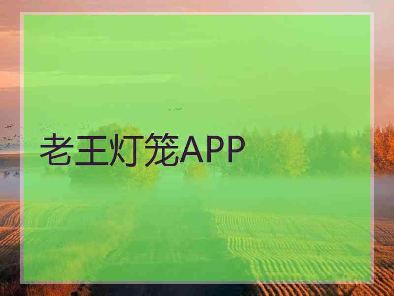 老王灯笼APP