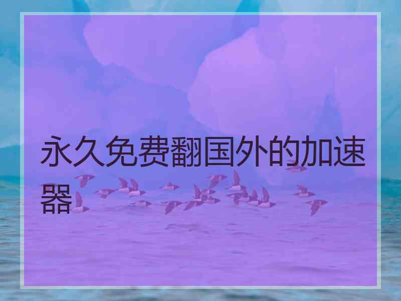 永久免费翻国外的加速器