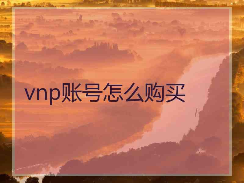 vnp账号怎么购买