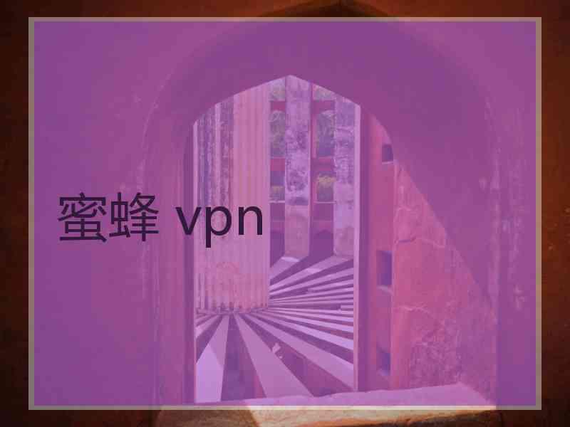 蜜蜂 vpn