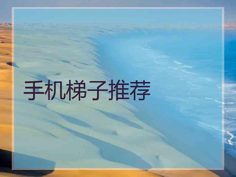 手机梯子推荐