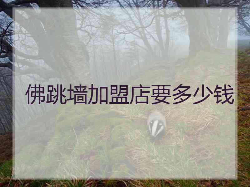 佛跳墙加盟店要多少钱