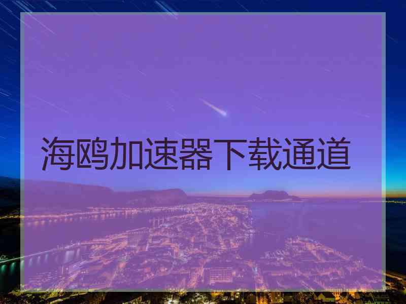 海鸥加速器下载通道