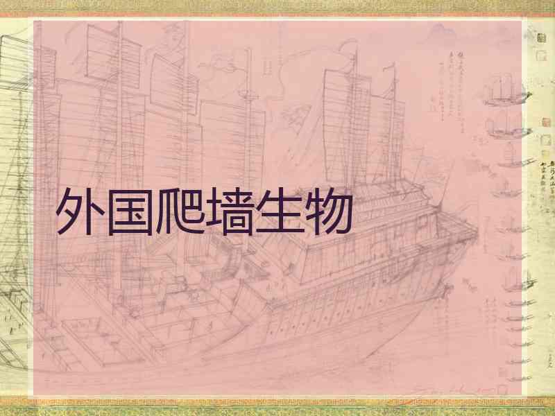 外国爬墙生物