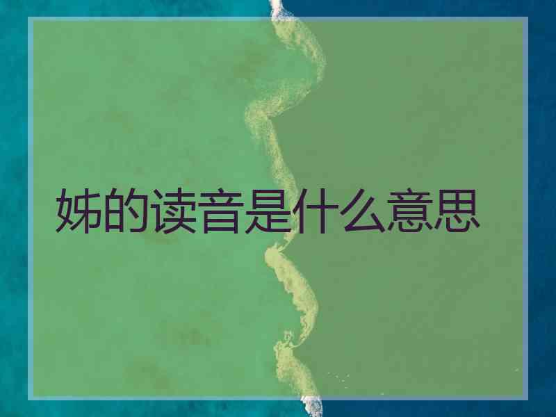姊的读音是什么意思