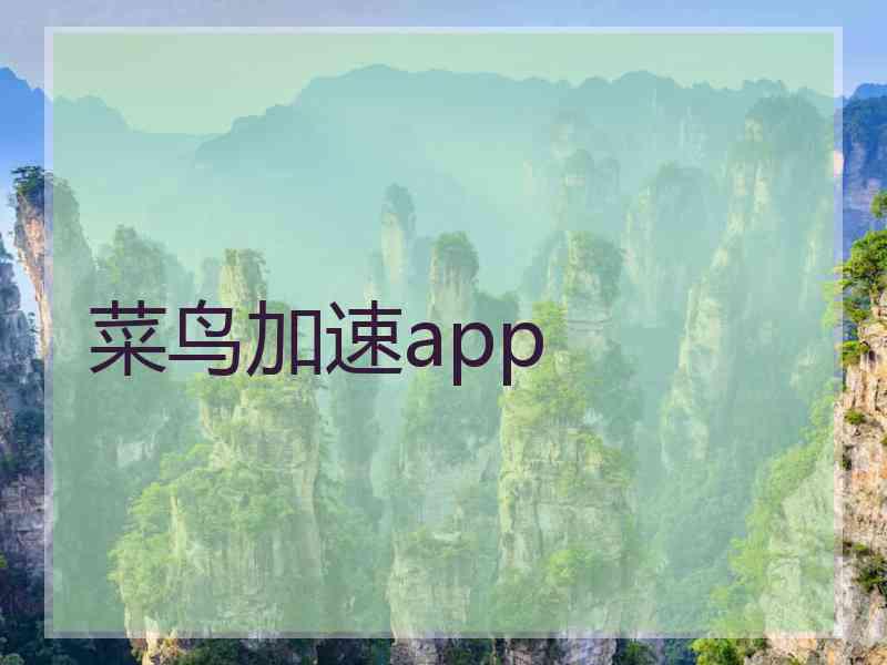 菜鸟加速app