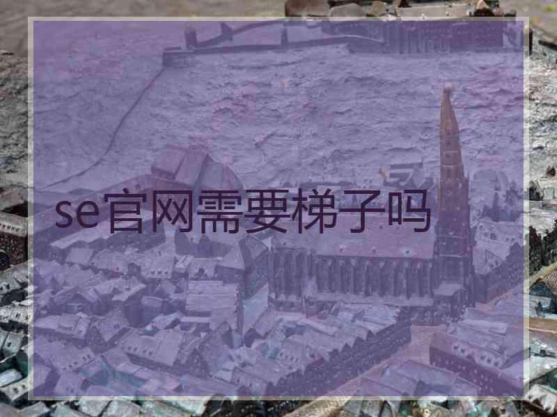 se官网需要梯子吗