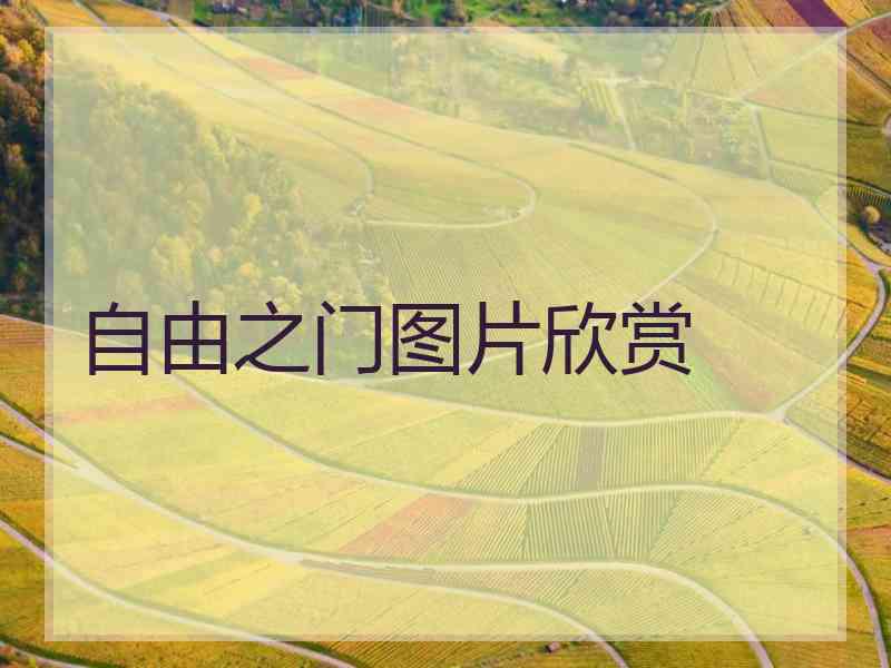 自由之门图片欣赏