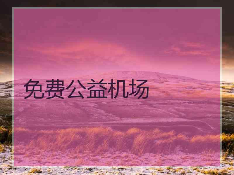 免费公益机场