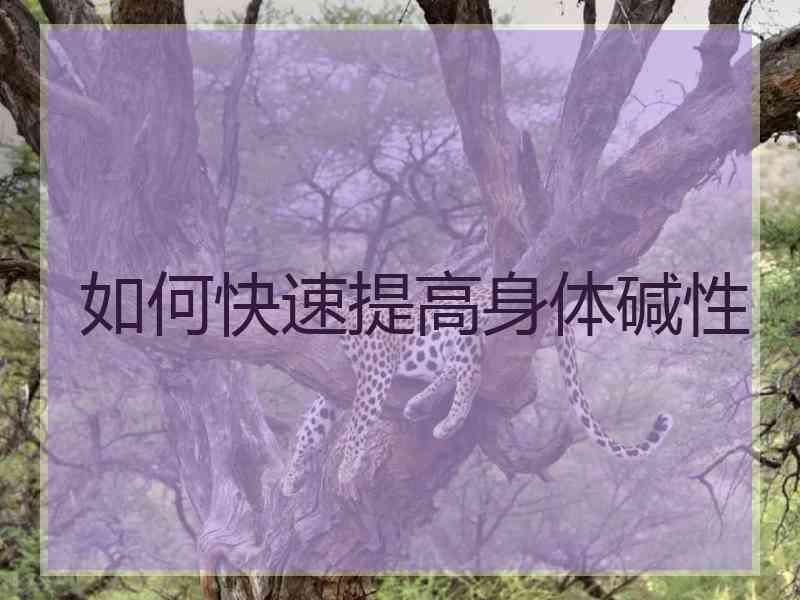 如何快速提高身体碱性
