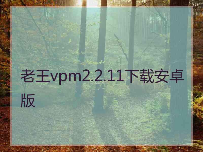 老王vpm2.2.11下载安卓版