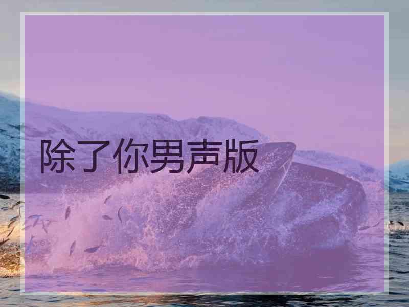 除了你男声版