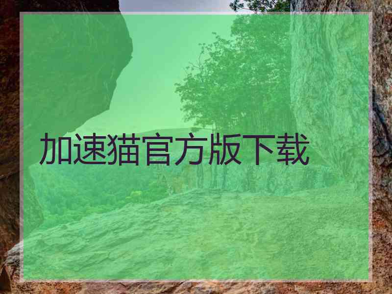 加速猫官方版下载