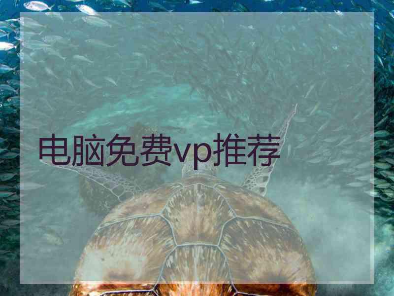 电脑免费vp推荐
