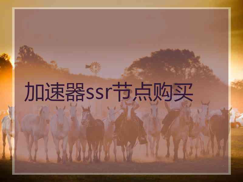 加速器ssr节点购买