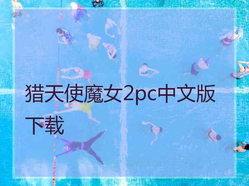 猎天使魔女2pc中文版下载