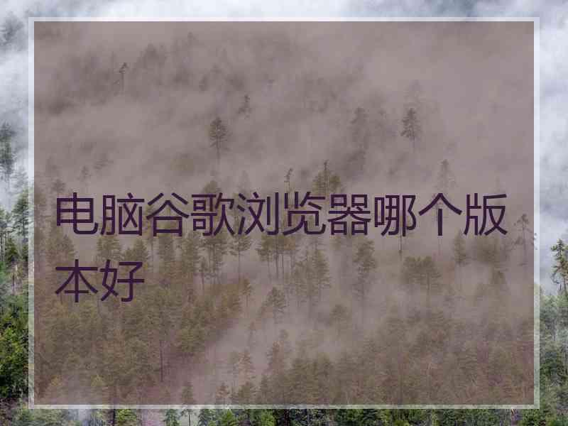 电脑谷歌浏览器哪个版本好