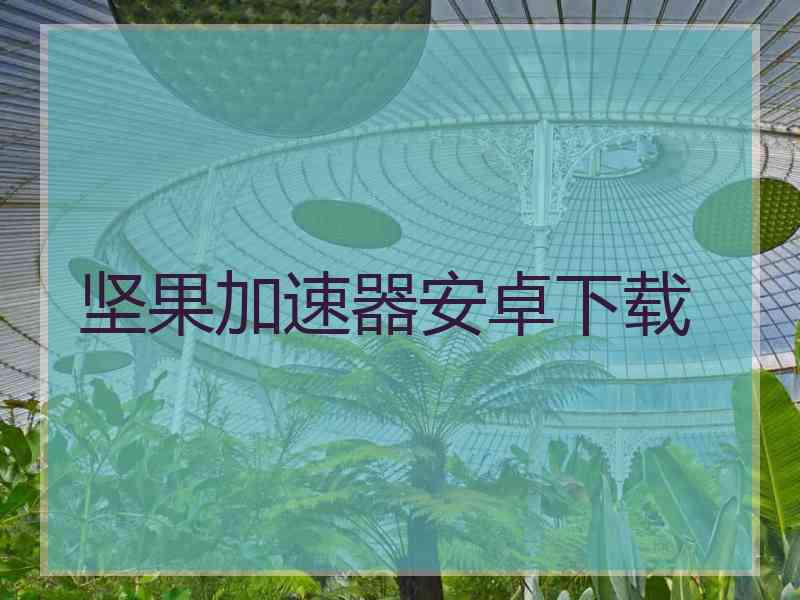 坚果加速器安卓下载