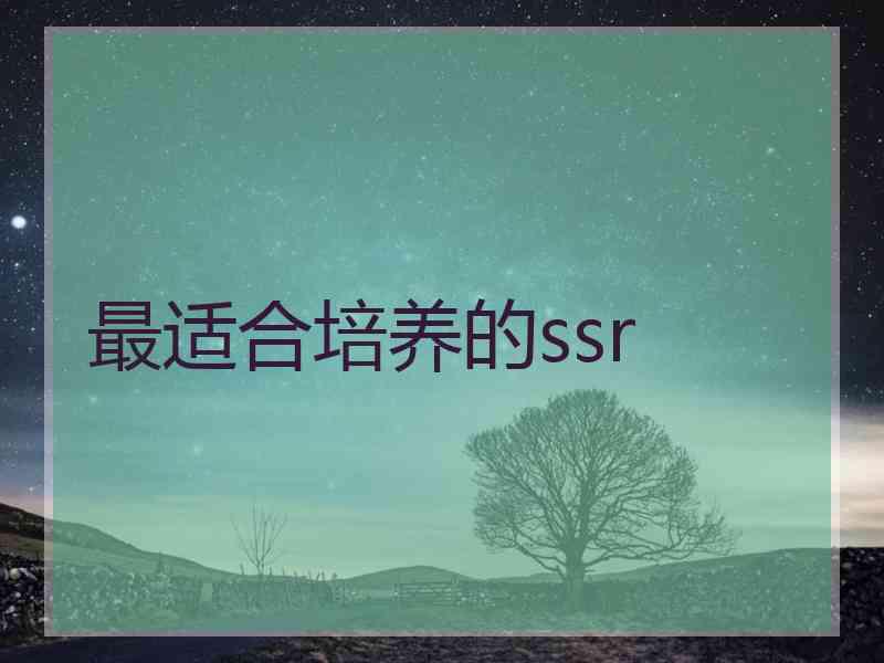 最适合培养的ssr