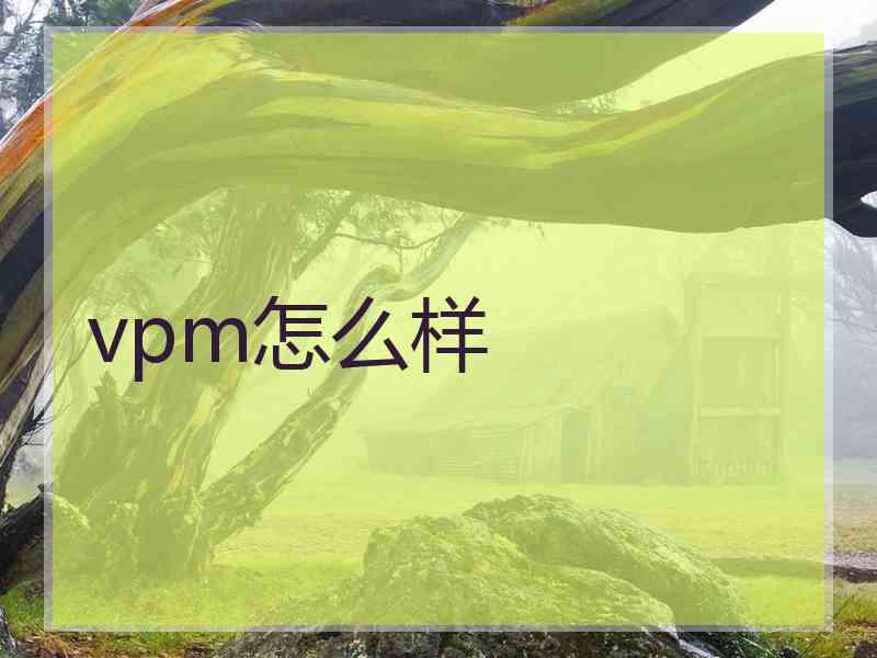vpm怎么样
