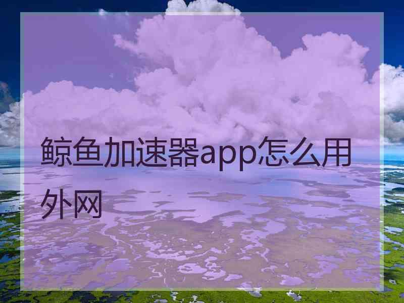 鲸鱼加速器app怎么用外网