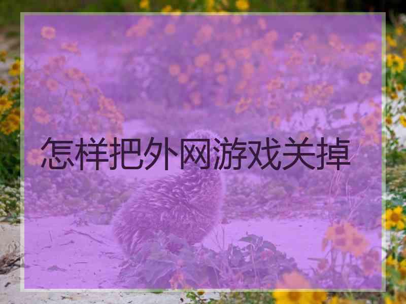 怎样把外网游戏关掉
